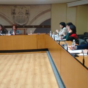 Ciudadanos espera que la comisión de investigación de Villamediana demuestre que quien la hace la paga