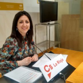 Ciudadanos reclama que la Ley de Renta de Ciudadanía garantice la incorporación laboral de los demandantes