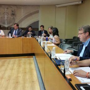 Ciudadanos exige a Nagore que se plante ante el Ministerio de Agricultura y defienda los intereses de los viticultores riojanos