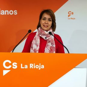 Alonso: “Queremos que las familias riojanas con dos hijos sean consideradas como numerosas y cuenten con sus beneficios”