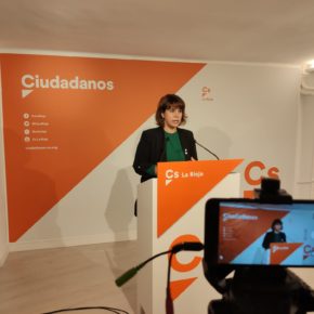 Ciudadanos (Cs) propone una bajada general del Impuesto sobre la Renta a las familias