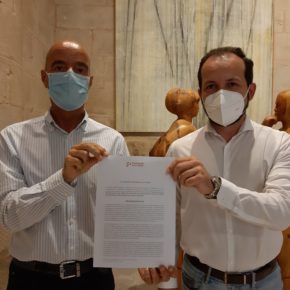 Cs presenta una proposición de ley para permitir el voto delegado o telemático en los plenos de los ayuntamientos de La Rioja Cs presenta una proposición de ley para permitir el voto delegado o telemático en los plenos de los ayuntamientos de La Rioja