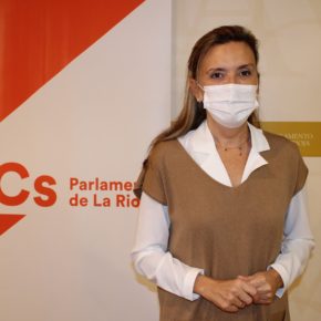 Ciudadanos solicita la creación de un registro de familias monoparentales que reconozca su condición y la expedición de un título