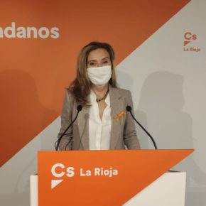 Ciudadanos reclama medidas para reducir el enorme impacto de la subida del precio de la electricidad en las familias y los consumidores vulnerables