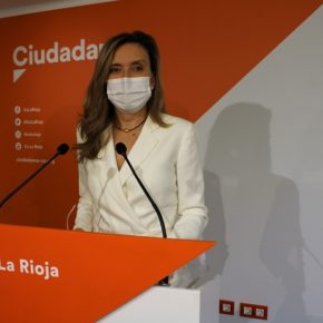 Ciudadanos propone crear un nuevo plan Renove de automoción para incentivar la compra de vehículos electrificados