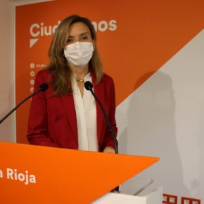 Ciudadanos denuncia los problemas y desbarajustes en la oficina de escolarización