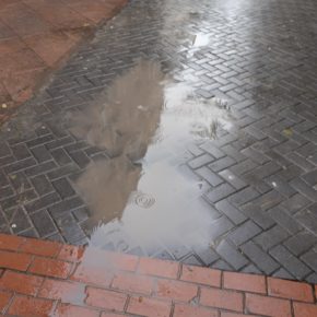 Cs denuncia el lamentable estado del pavimento en el Paseo de las Cien Tiendas que daña la imagen del comercio de local y de ciudad